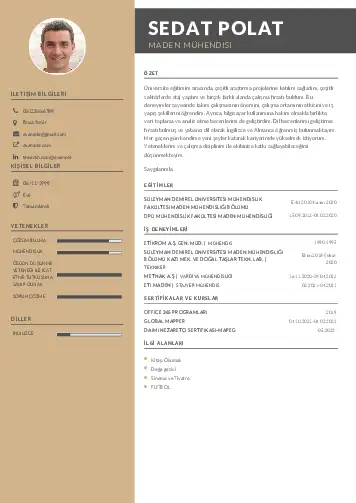 Maden Mühendisi Cv Örnekleri cv indir